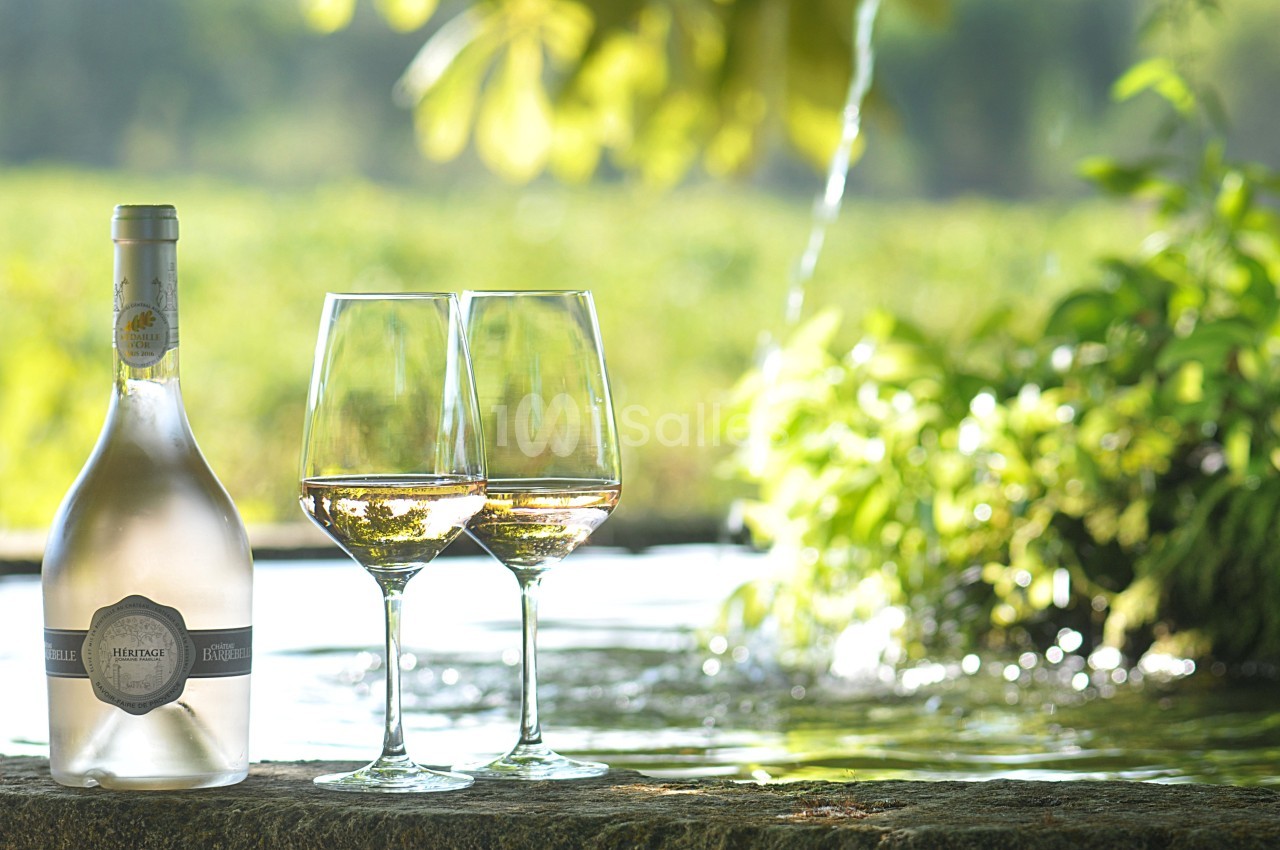 Bouteille de vin rosé et deux verres remplis posés sur une table en pierre devant un paysage verdoyant avec une fontaine.