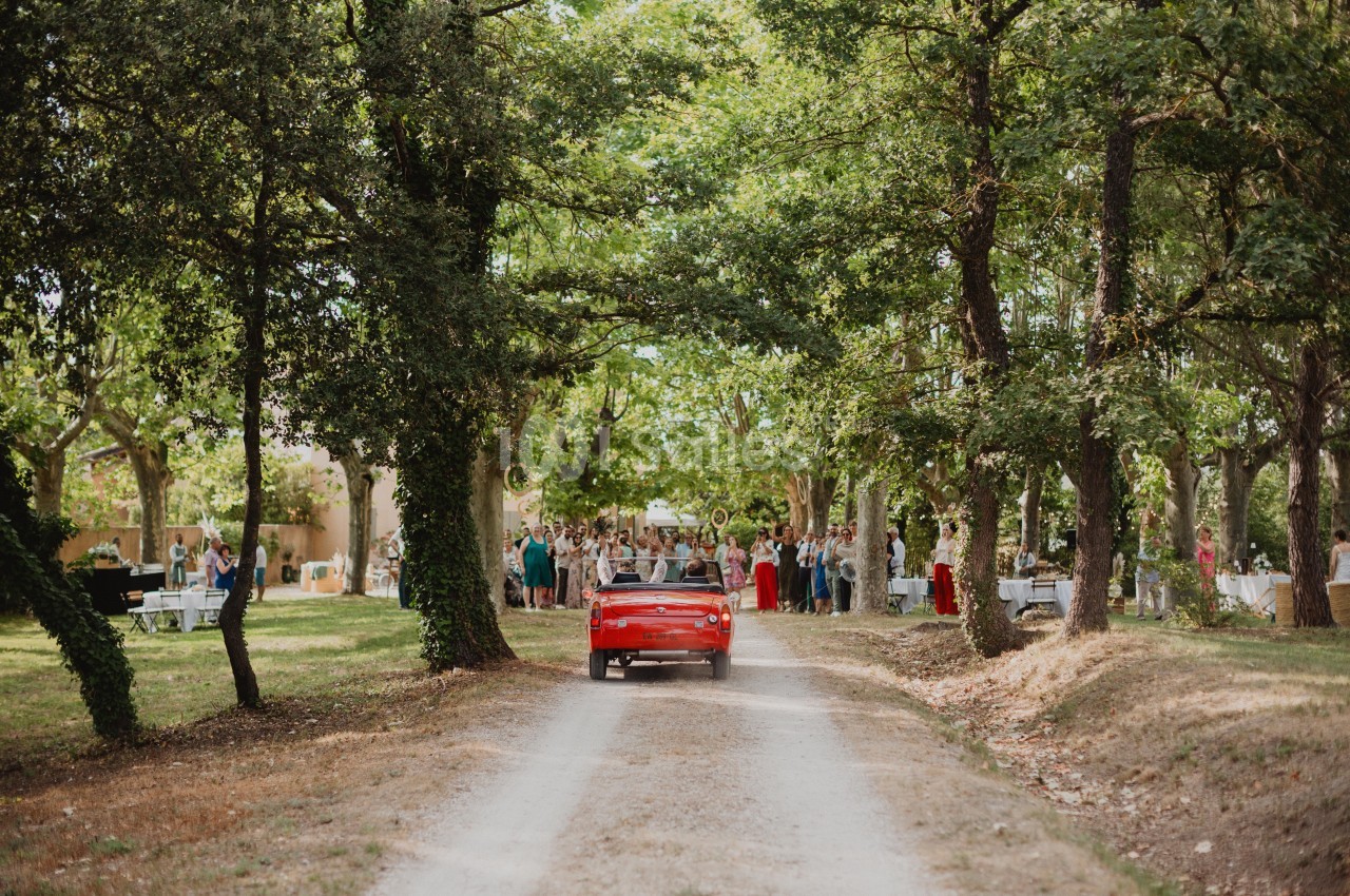 Une voiture rouge roule sur un chemin bordé d'arbres, menant à un rassemblement en plein air.