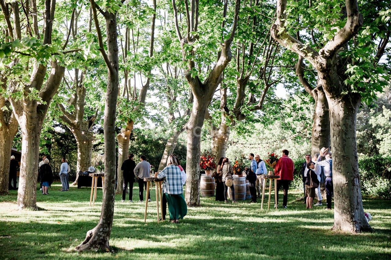 Réception en plein air sous un allée d'arbres centenaires avec convives, tonneau de vin et arrangements floraux.