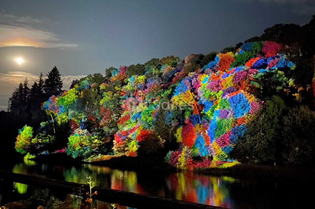 Colline boisée illuminée par des projections colorées, reflétée dans l'eau sous un ciel nocturne avec une lune visible.