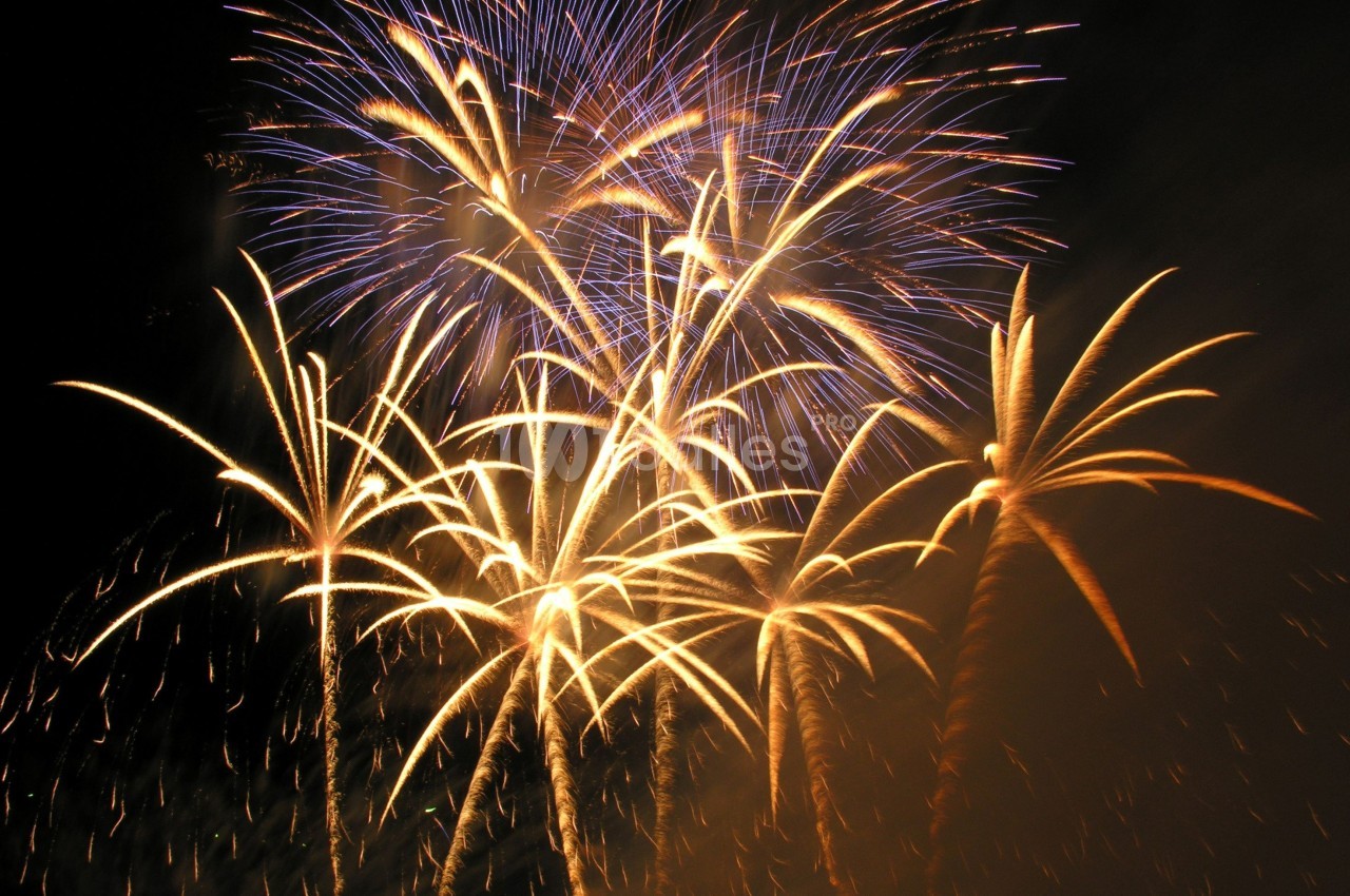 Feux d'artifice illuminant le ciel nocturne avec des explosions de lumières colorées et des motifs variés.