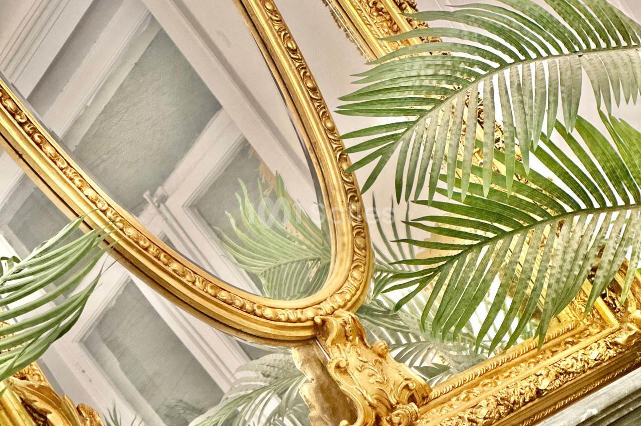 Miroir doré orné de détails sculptés, reflétant une fenêtre, entouré de feuilles de plantes vertes.