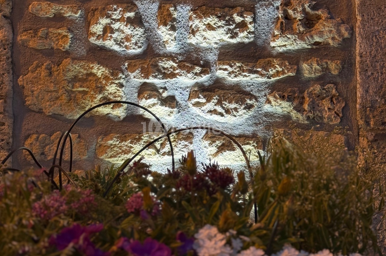 Mur en pierre éclairé par une lumière douce, avec des fleurs colorées au premier plan.