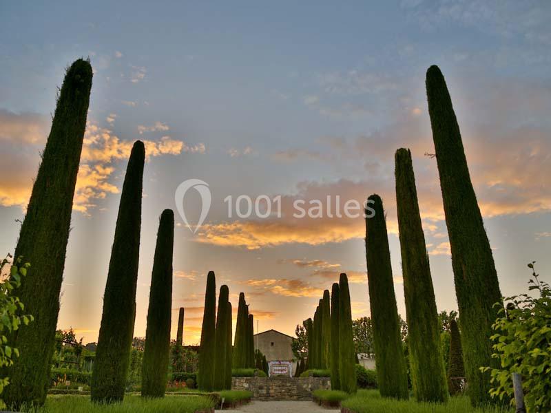 Château Val Joanis - galerie - photo 18