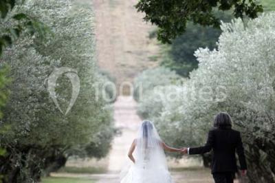 Château Val Joanis - photo 5