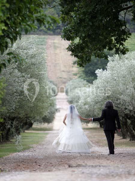 Château Val Joanis - galerie - photo 22