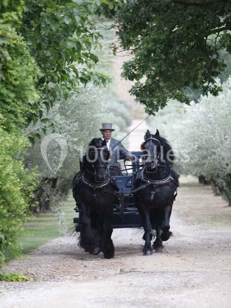 Château Val Joanis - galerie - photo 23
