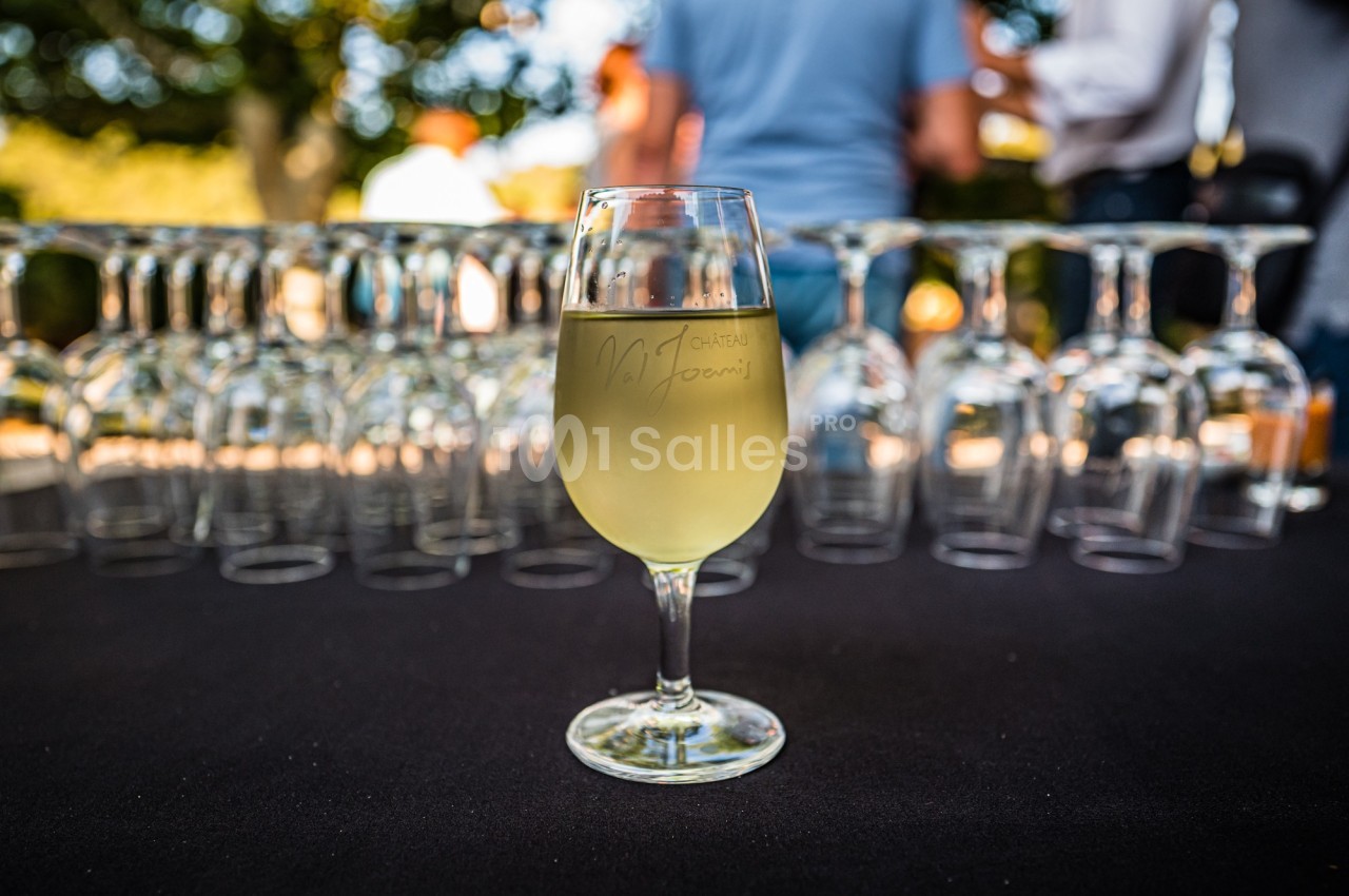 Chateau Val Joanis - galerie - photo 14