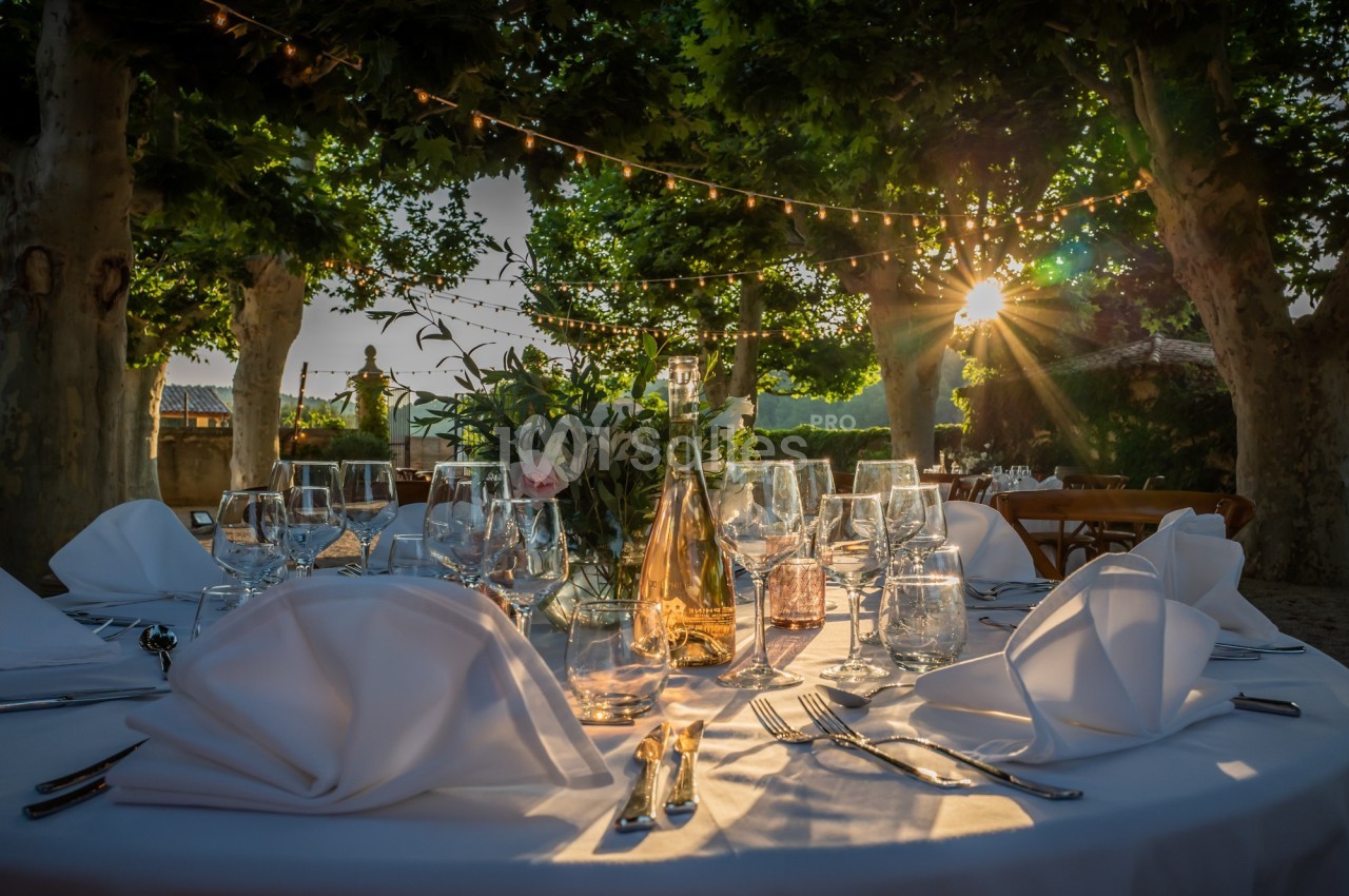 Chateau Val Joanis - galerie - photo 15