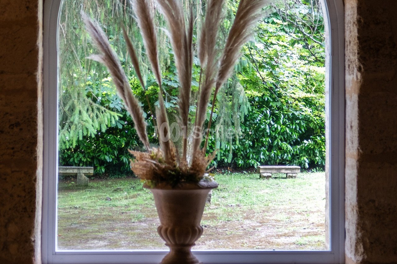 Vase décoratif avec des herbes de la pampa placé devant une fenêtre donnant sur un jardin verdoyant.