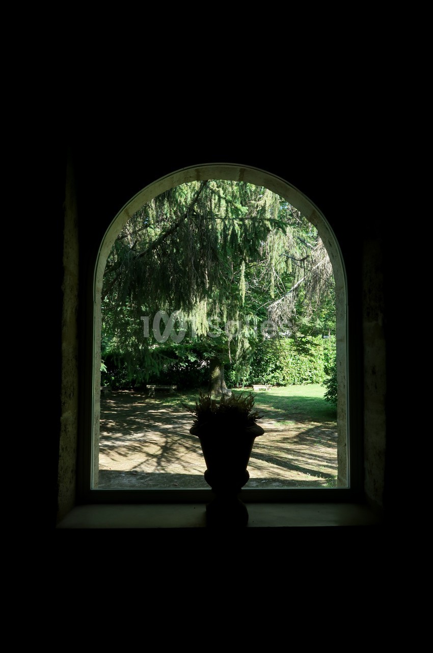 Vue d'un jardin verdoyant à travers une fenêtre en arche, avec une plante en pot au premier plan.