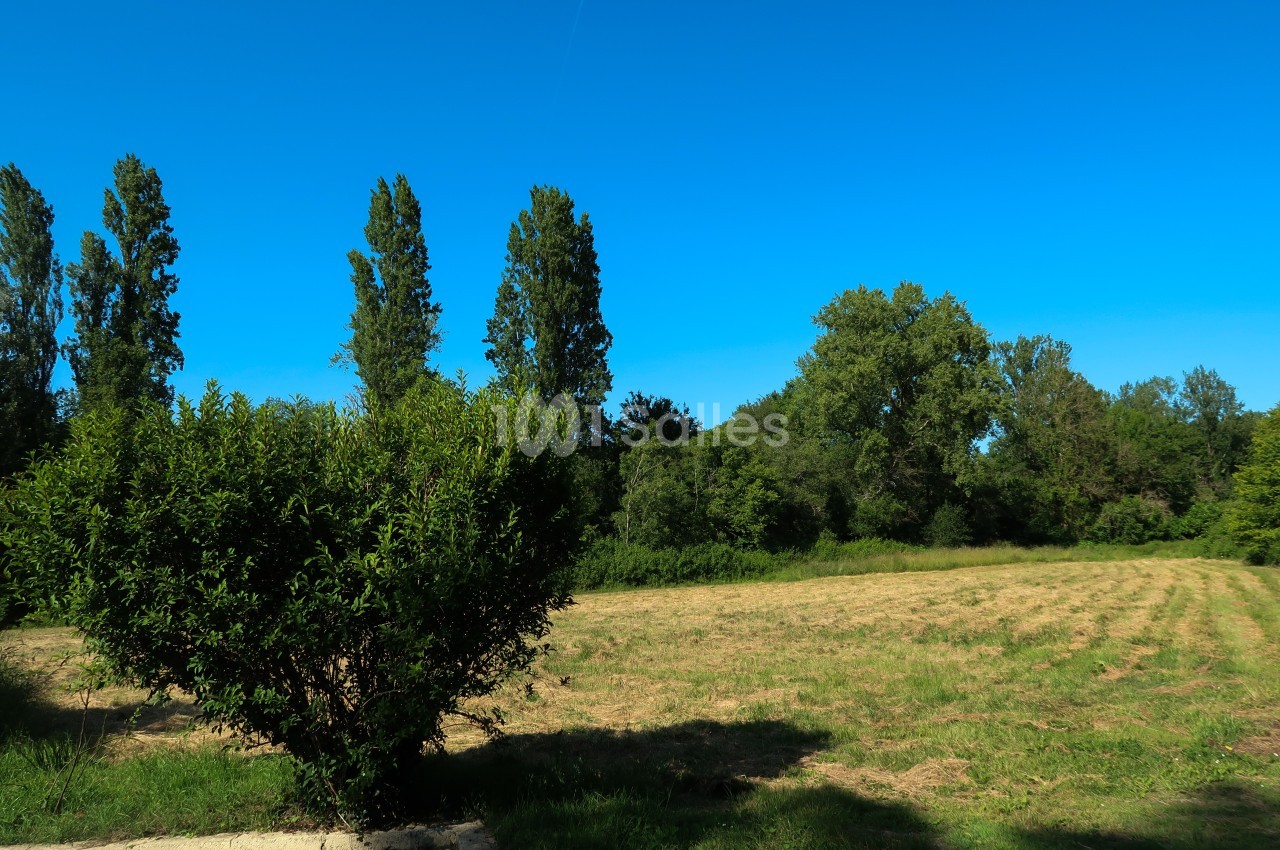 Paysage rural avec un champ fraîchement fauché, des arbres en arrière-plan et un ciel bleu dégagé.