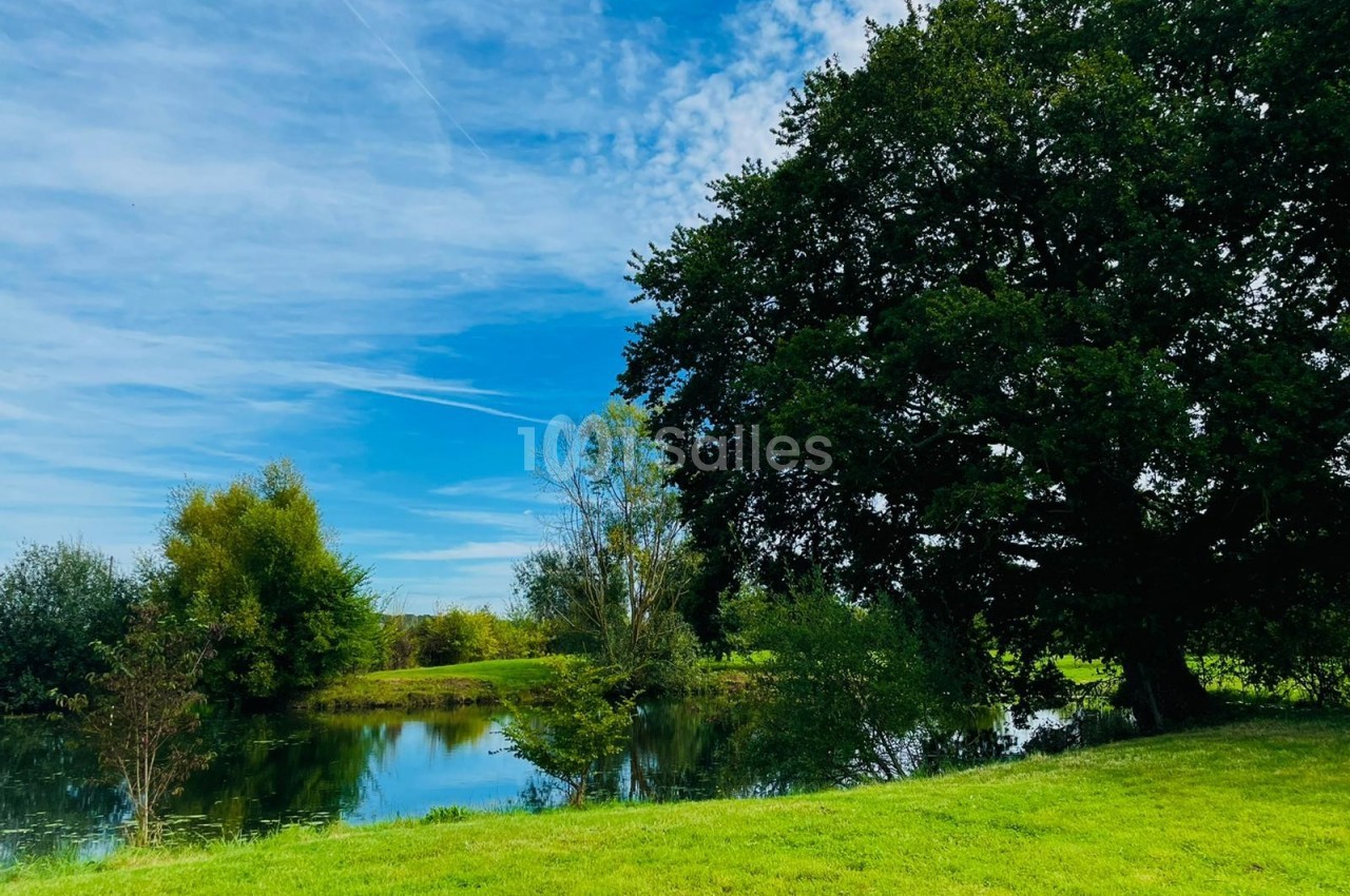 Paysage avec un grand arbre près d'un étang entouré de verdure sous un ciel partiellement nuageux.