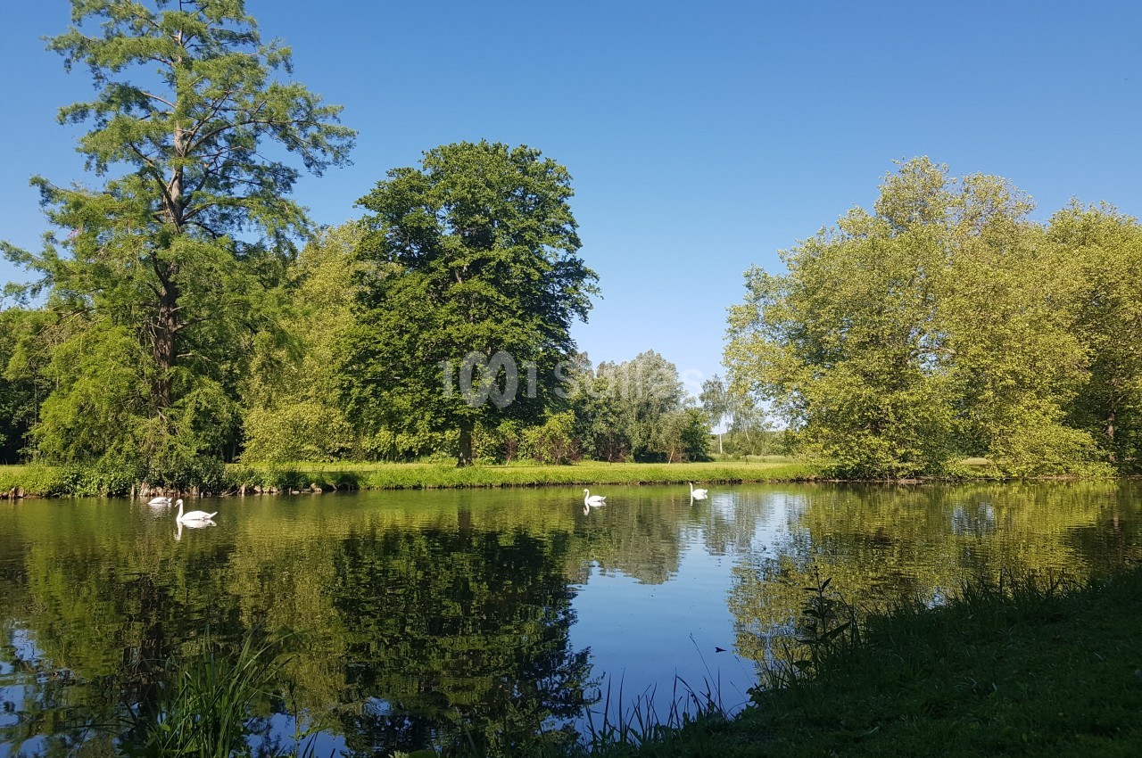 Château de Troissereux - galerie - photo 3