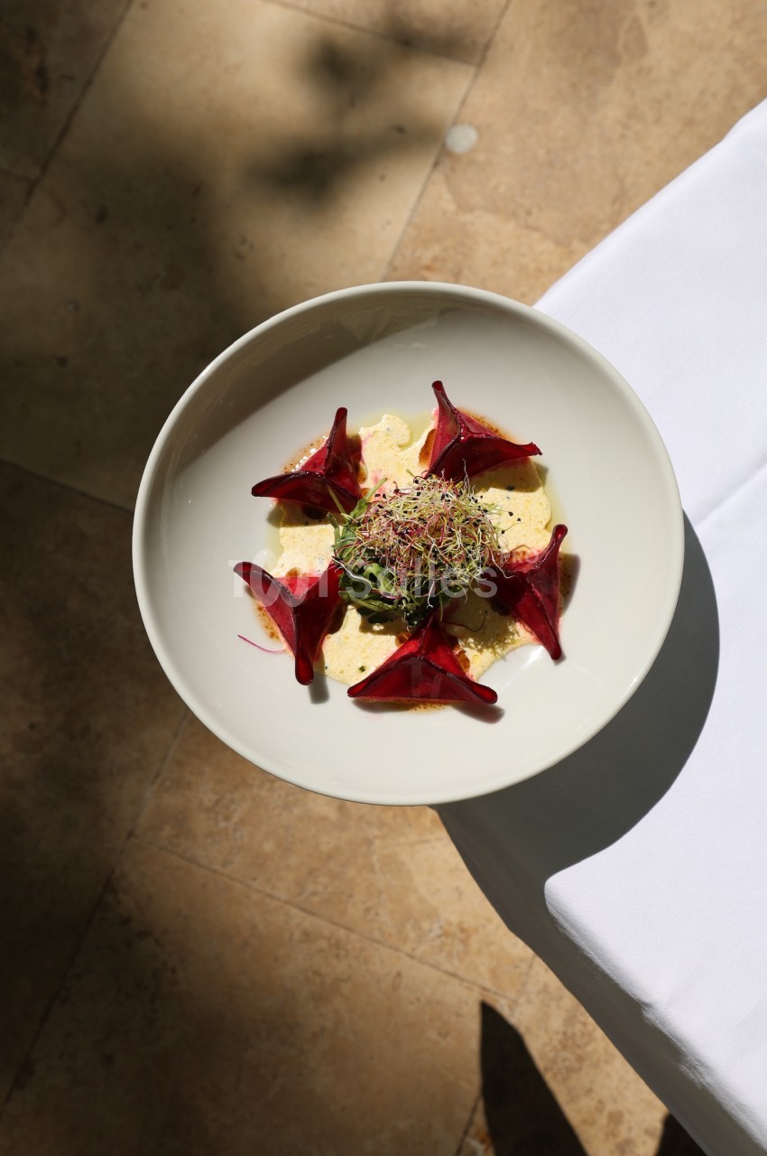 Assiette de betteraves rouges en tranches, garnie de pousses et servie sur une sauce claire, vue en lumière naturelle.
