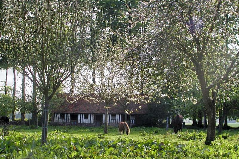 La Ferme Dufresne - photo 4