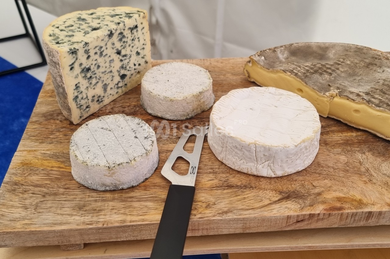 Plateau en bois avec divers fromages, dont un bleu, des fromages ronds et un à croûte épaisse, accompagné d'un couteau.
