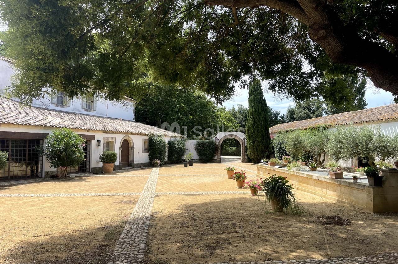 Le Mas des Bécasses - galerie - photo 1