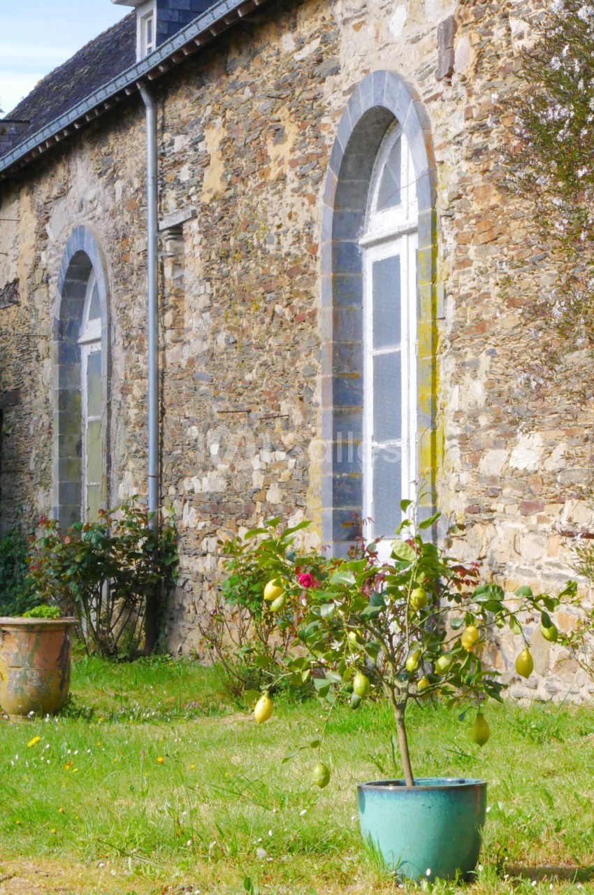 Château de la Garlais  - galerie - photo 9