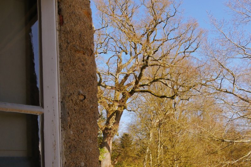 Château de la Garlais  - photo 5