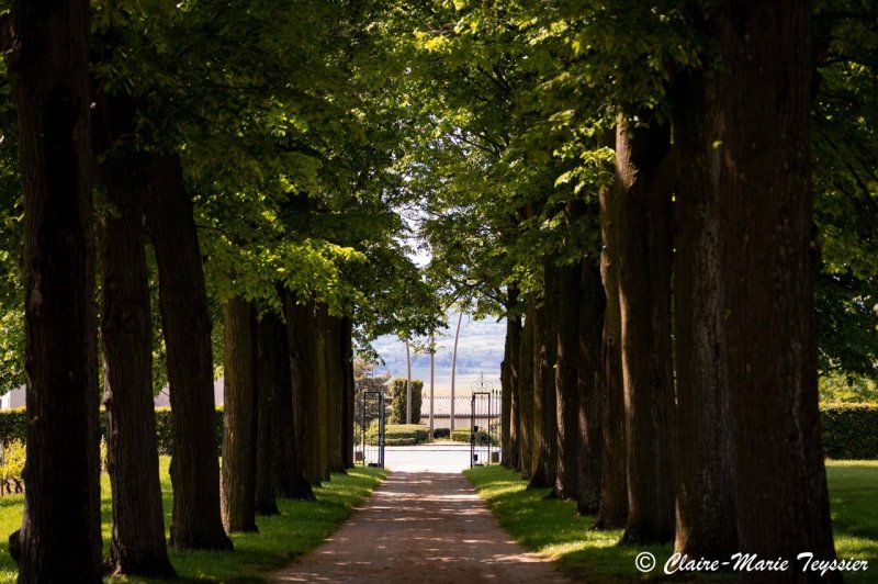 Domaine de Montclair - photo 3