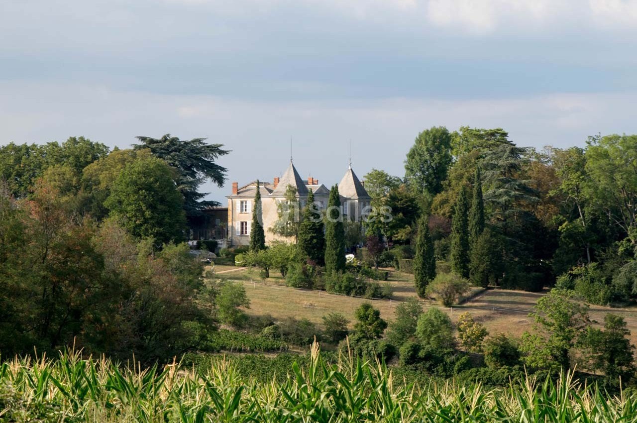 Château entouré d'arbres et de champs verdoyants sous un ciel partiellement nuageux.