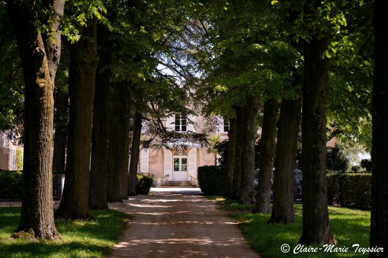 Domaine de Montclair - photo 4