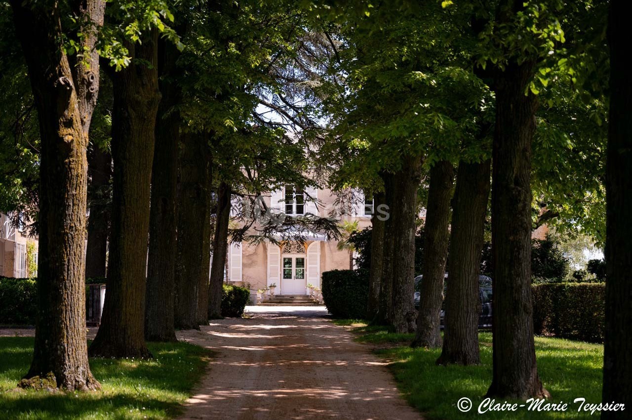Allée bordée d'arbres menant à une maison en pierre claire partiellement visible à travers les feuillages.