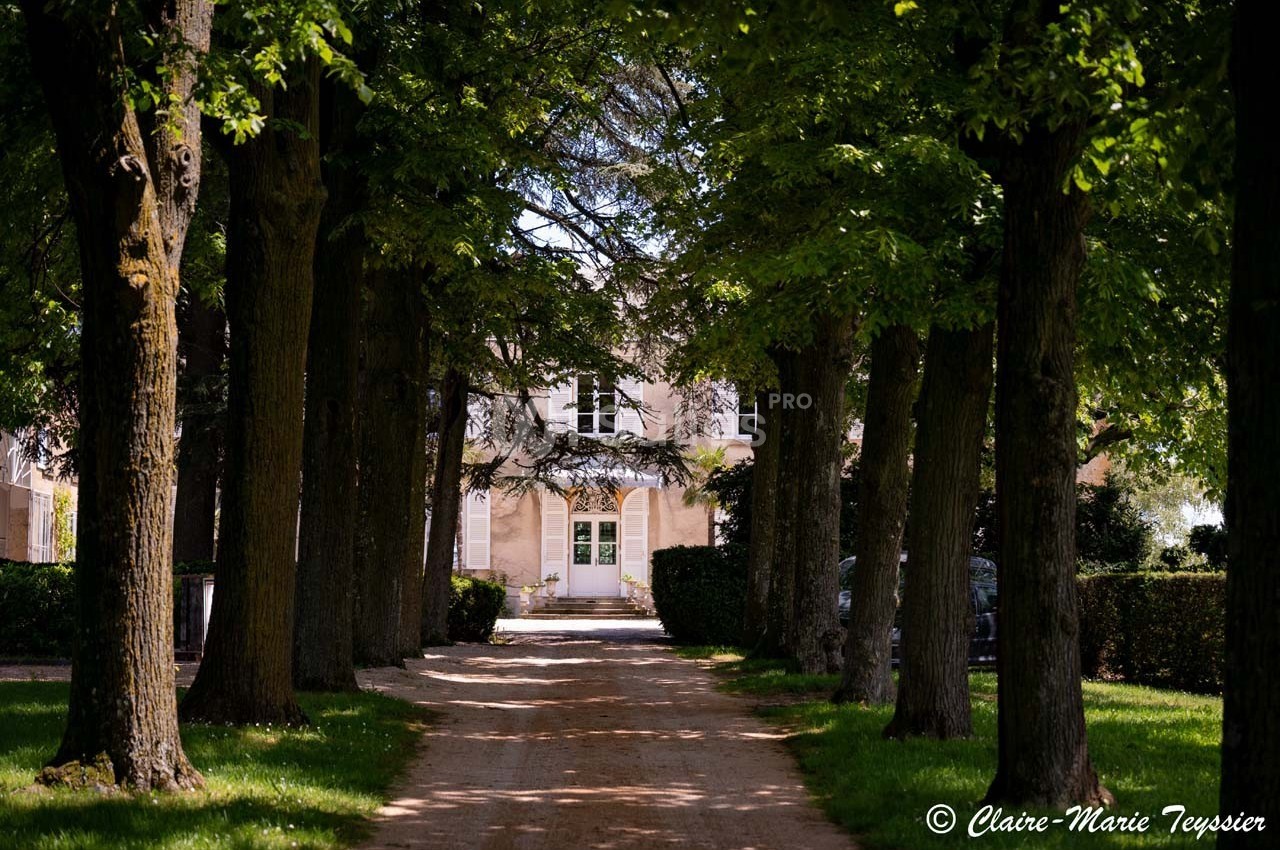 Domaine de Montclair - galerie - photo 49