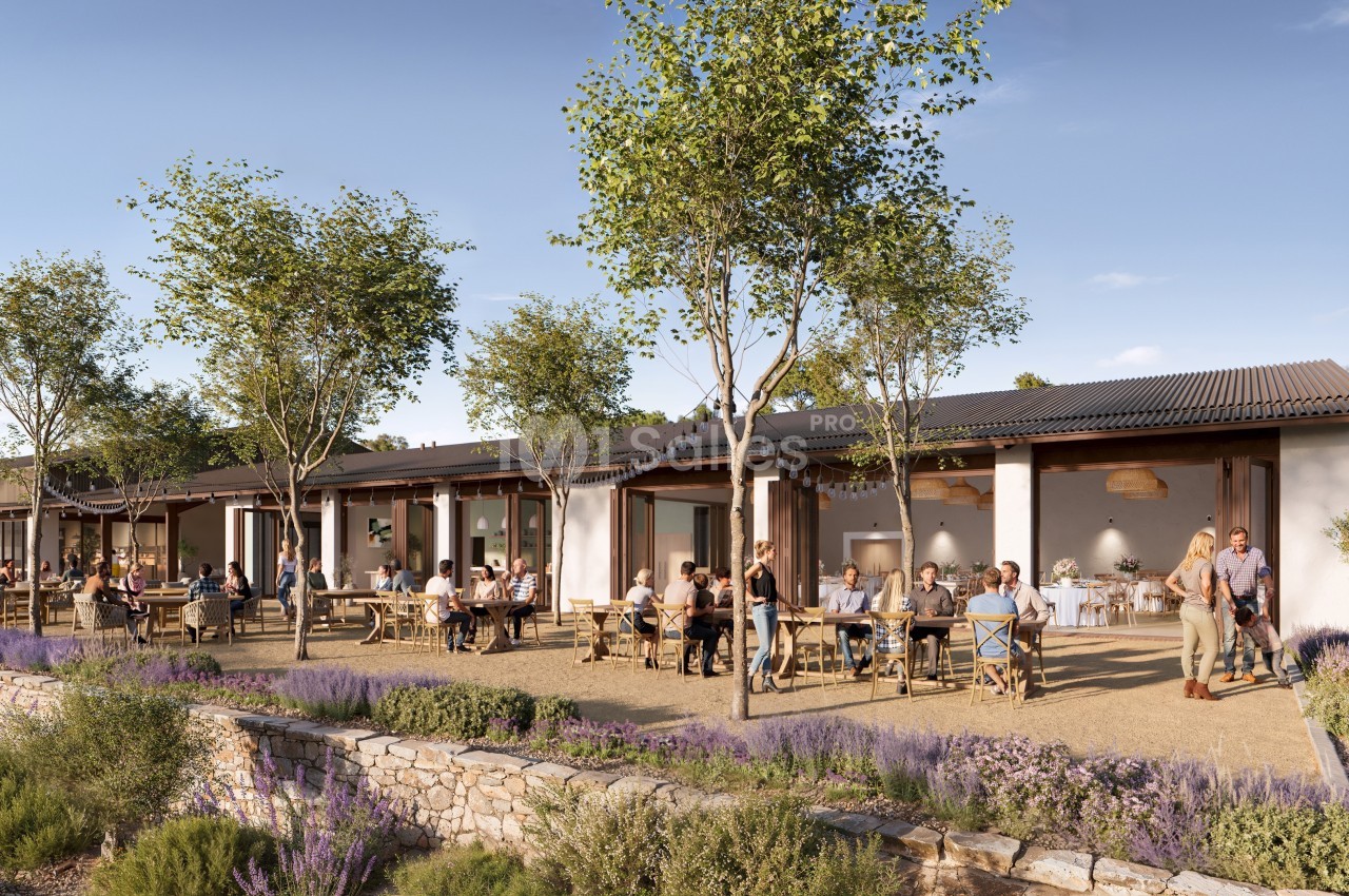 Terrasse d'un restaurant entourée de lavande et d'arbres, avec des clients assis à des tables en extérieur.