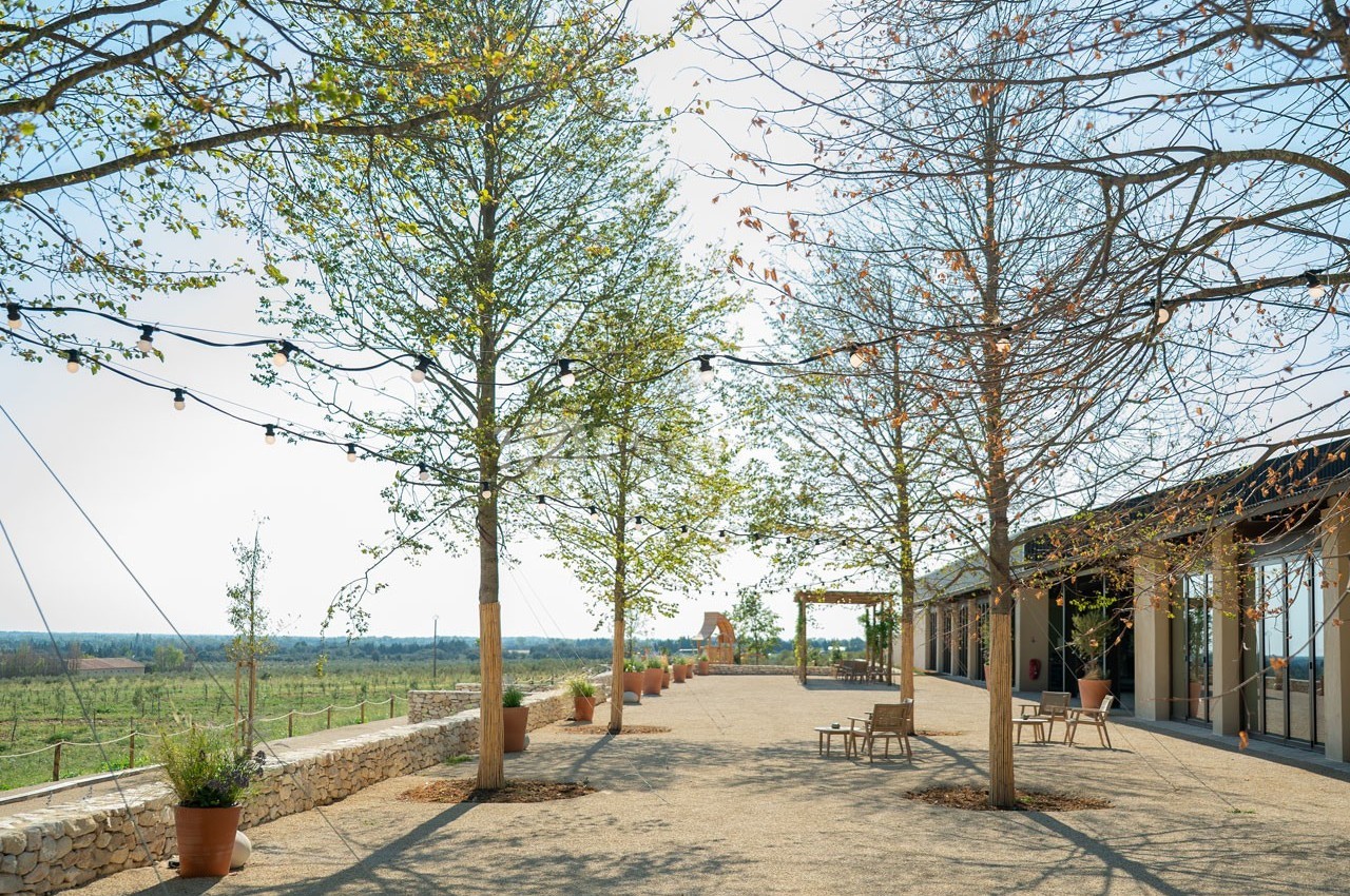 Allée bordée d'arbres avec guirlandes lumineuses, terrasse en gravier et vue dégagée sur un paysage rural.