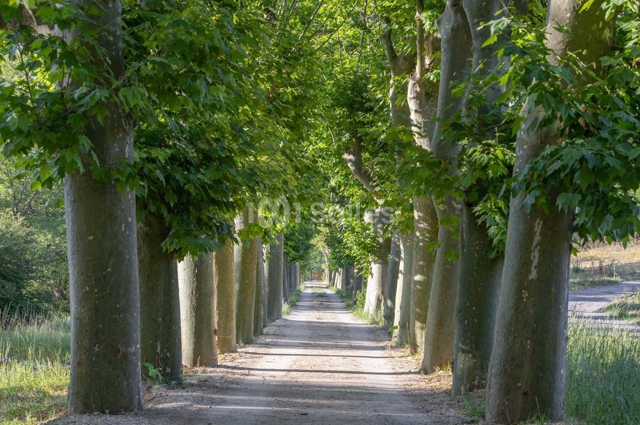Domaine la Plume - galerie - photo 18