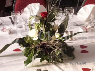 Les Tuileries - galerie - photo 11