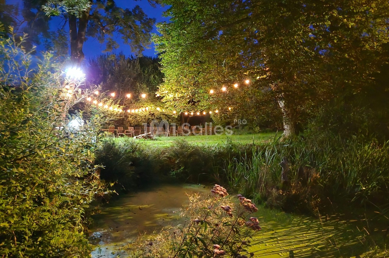 Guirlandes lumineuses suspendues dans un jardin verdoyant près d'un petit étang, en soirée.
