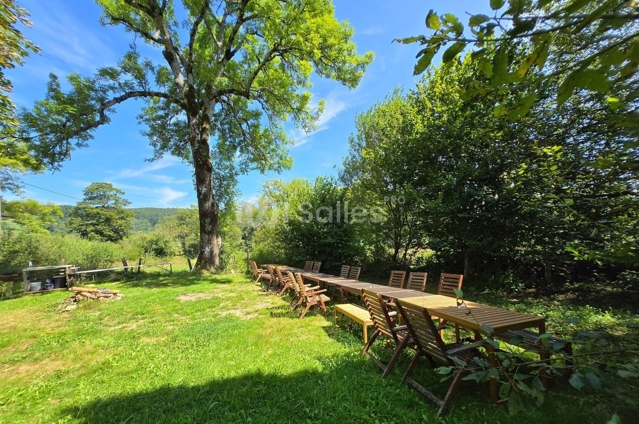 Grande table en bois entourée de chaises dans un jardin verdoyant, sous un arbre imposant par une journée ensoleillée.