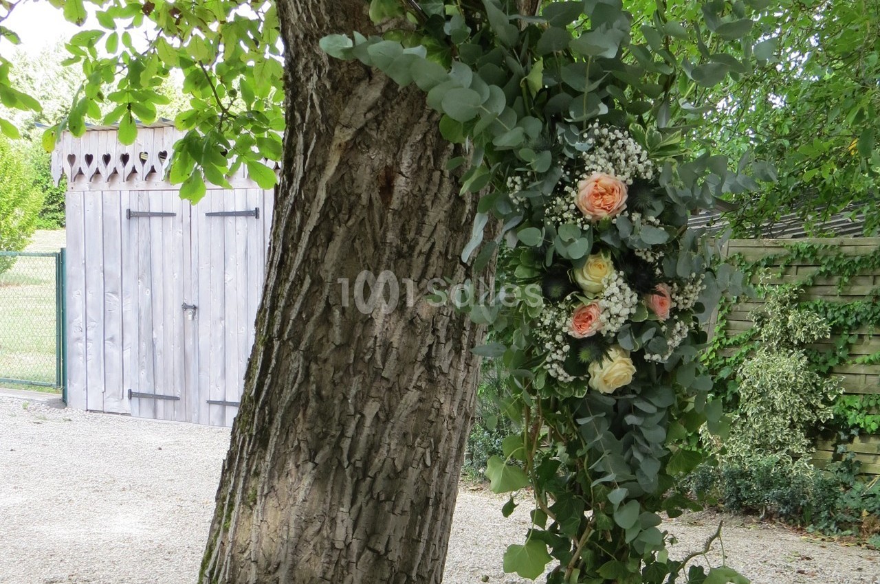 Le Noyer des Dames - galerie - photo 34