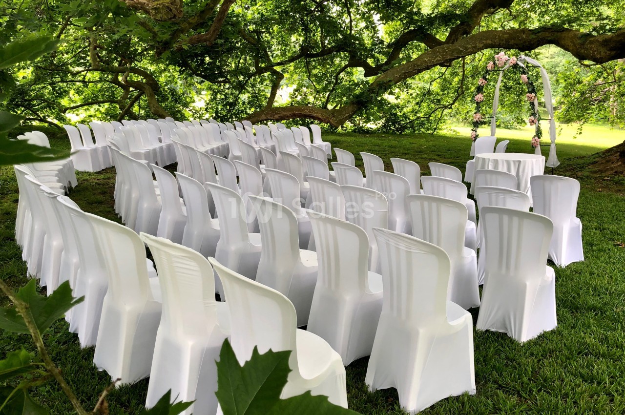 Chaises blanches disposées en rangées sous un grand arbre pour une cérémonie en plein air avec une arche décorée de fleurs.