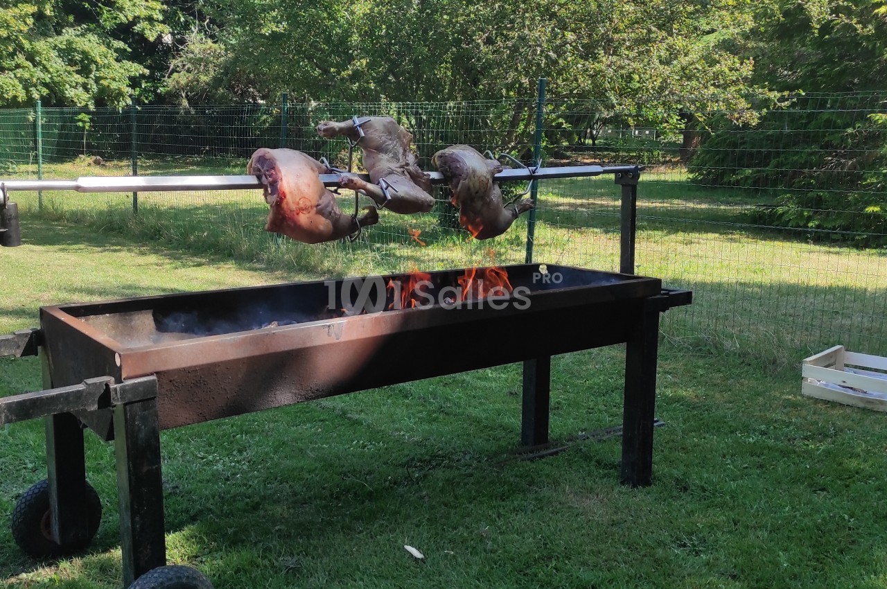 Viande en train de rôtir sur une broche au-dessus d'un barbecue en plein air, dans un jardin verdoyant.