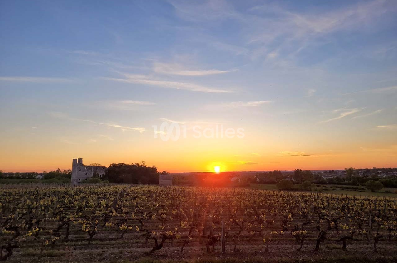 Coucher de soleil sur un vignoble avec une petite bâtisse en pierre à l'horizon sous un ciel dégagé.