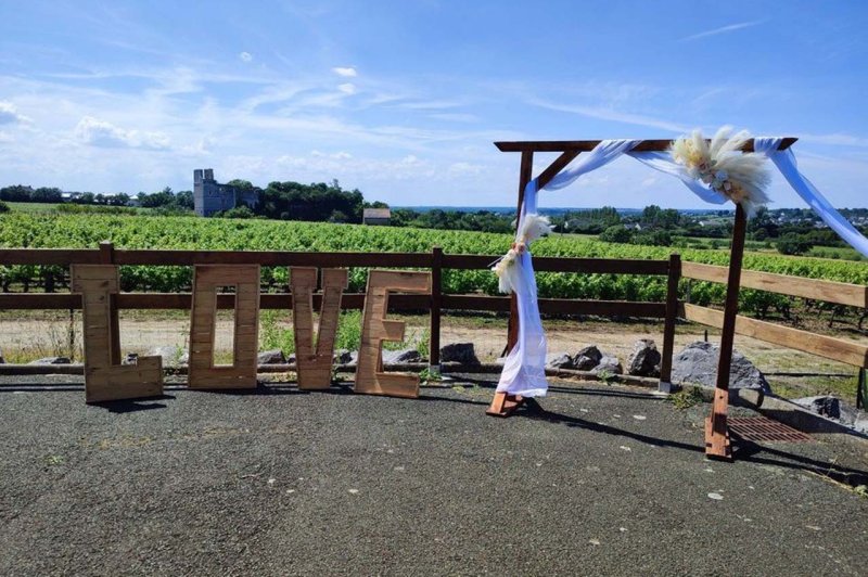 Domaine Delaunay - photo 2