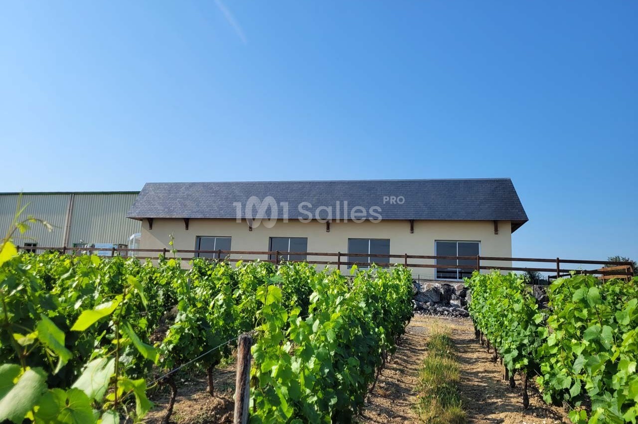 Bâtiment moderne en arrière-plan d'un vignoble sous un ciel dégagé.