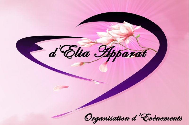 D'Elia Apparat - Organisation d'Evénements - photo 5