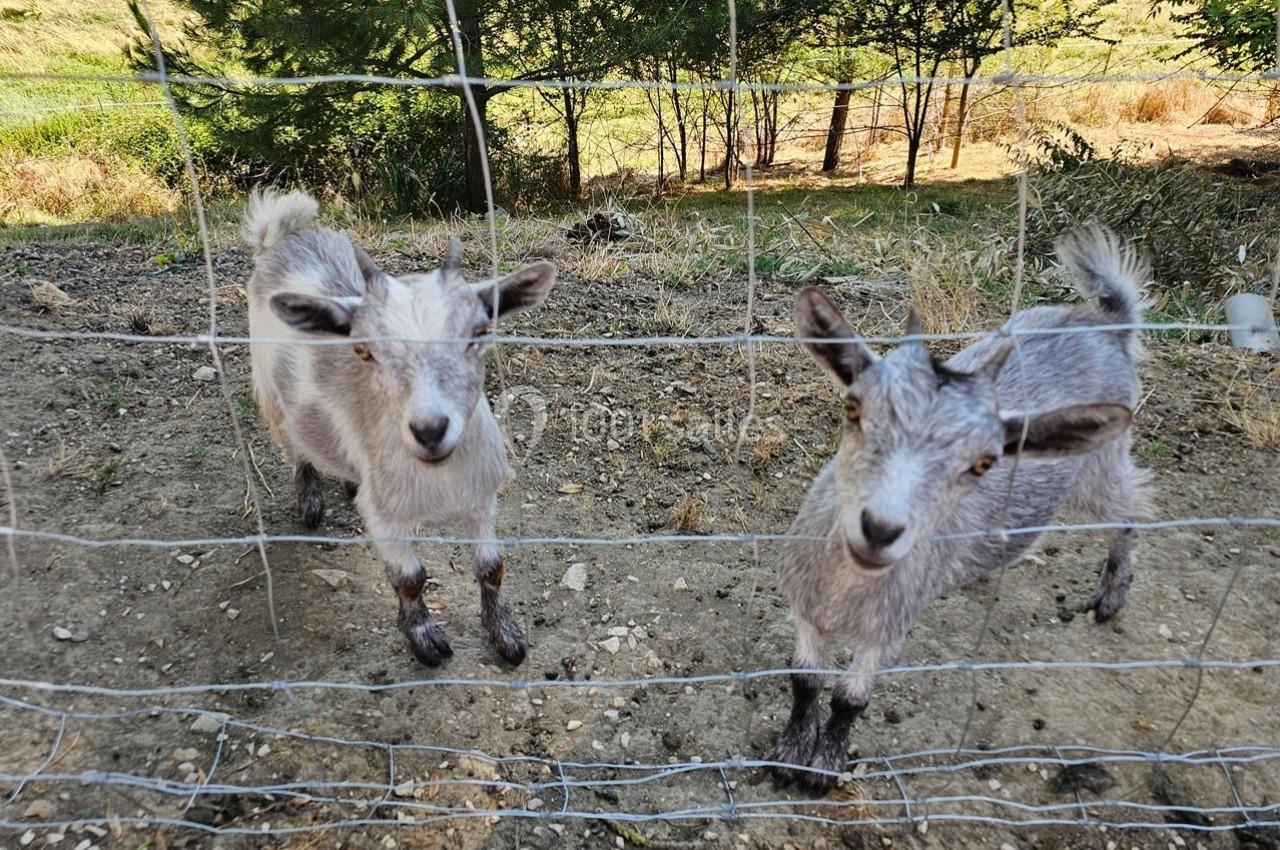 Domaine de Massoulac - galerie - photo 19