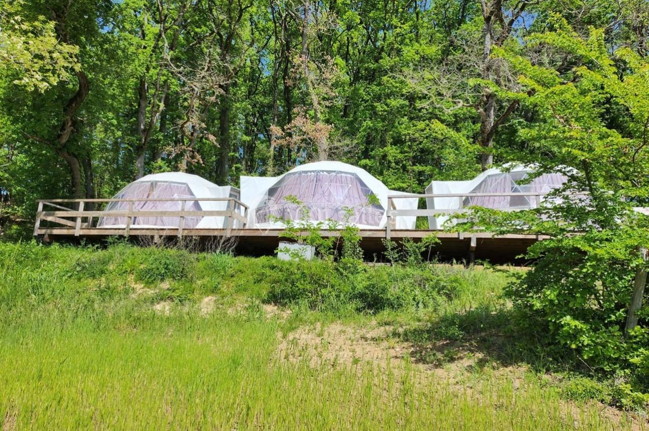 Domaine de Massoulac - galerie - photo 18