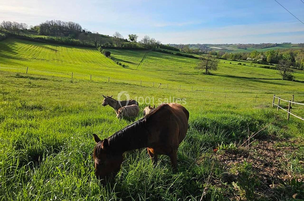 Domaine de Massoulac - galerie - photo 16