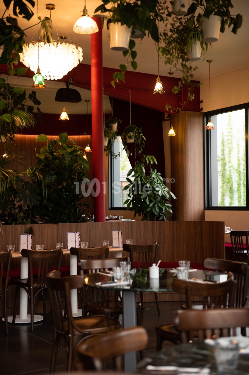 Salle de restaurant lumineuse avec des tables en bois, des plantes suspendues et une décoration chaleureuse.