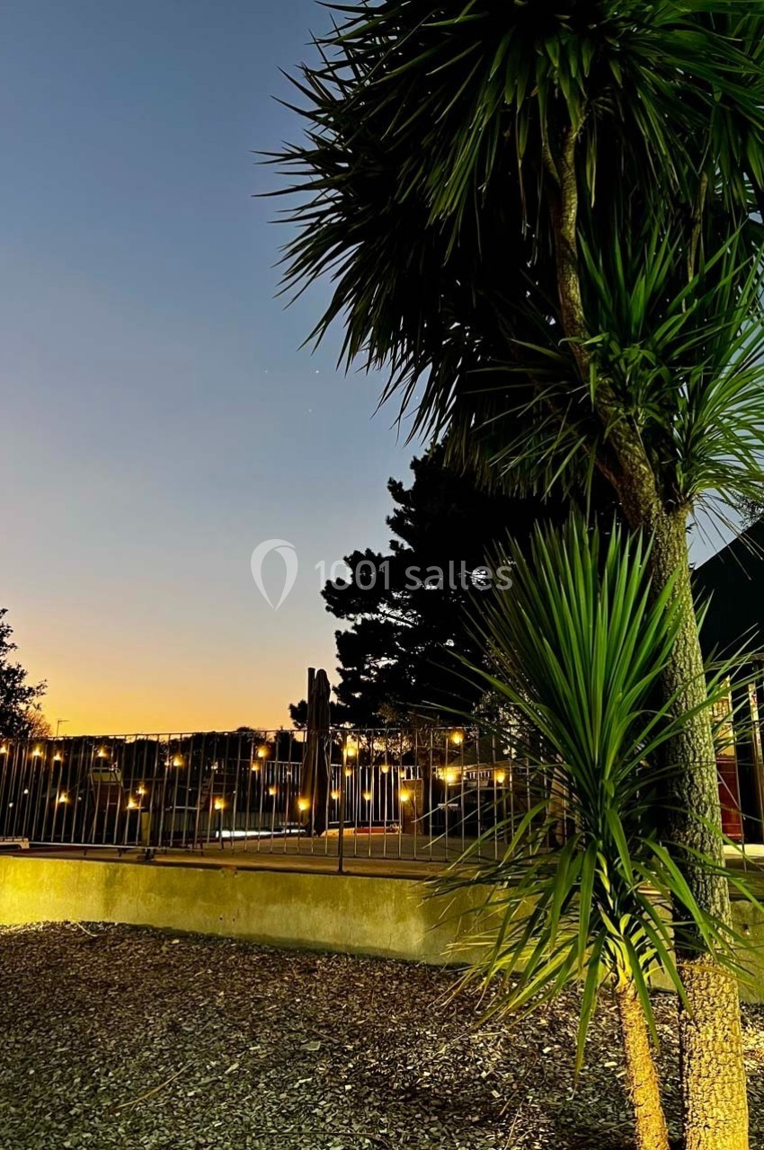 Coucher de soleil illuminant un jardin avec des palmiers et des lumières suspendues près d'une clôture.