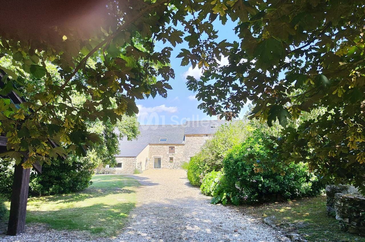 Allée gravillonnée bordée de végétation menant à une maison en pierre sous un ciel bleu dégagé.