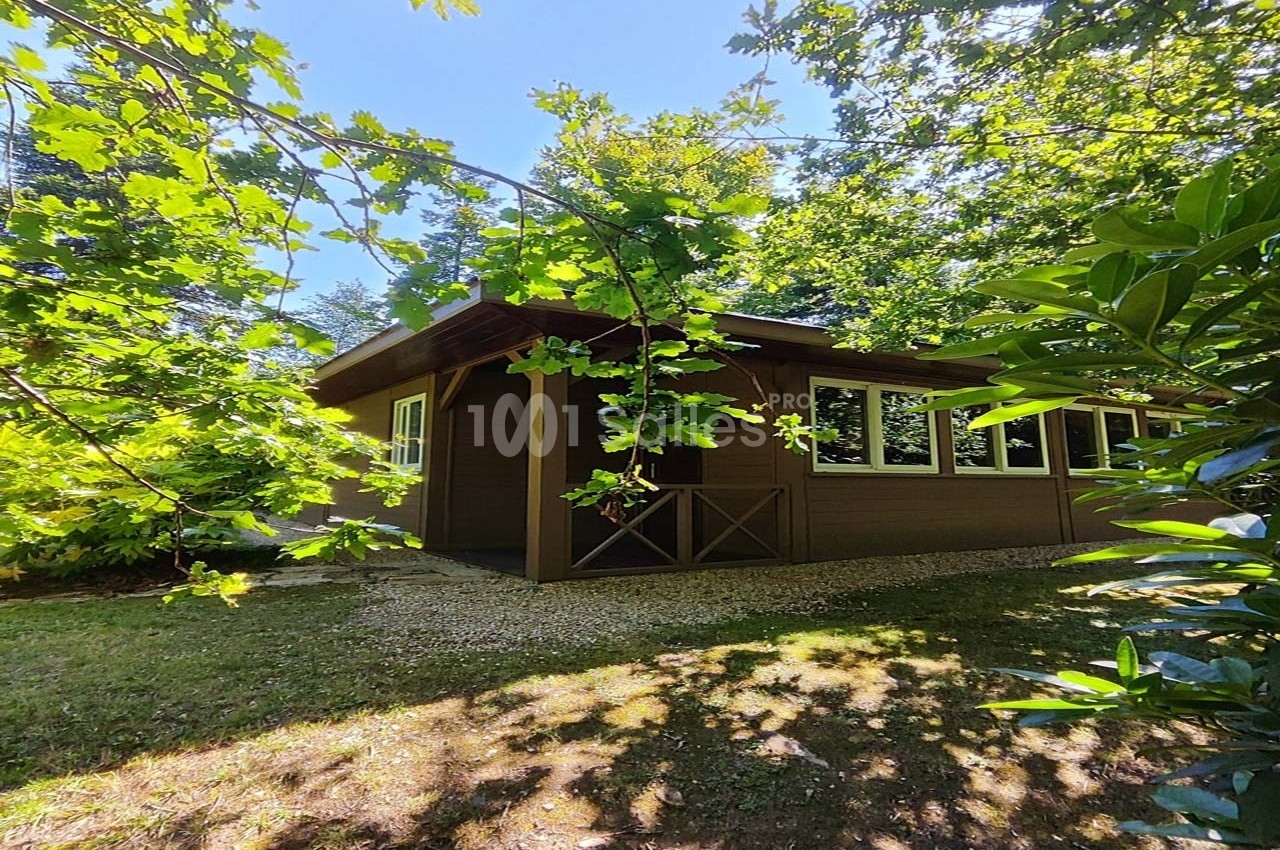 Chalet en bois entouré de végétation verdoyante, éclairé par la lumière du jour à travers les arbres.