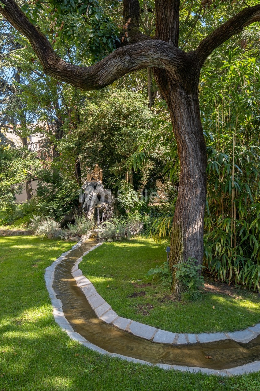 Un petit canal sinueux traverse une pelouse verdoyante, entouré d'arbres et de bambous dans un jardin paisible.